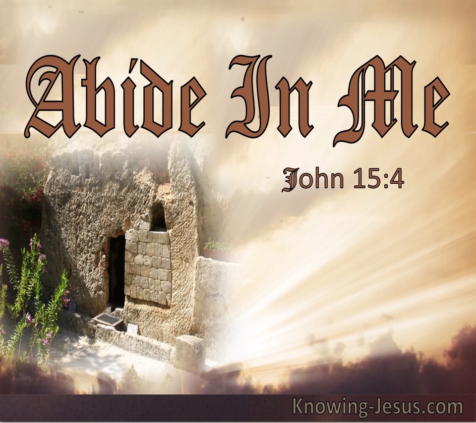 John 15:4 Abiding in Christ (beige)